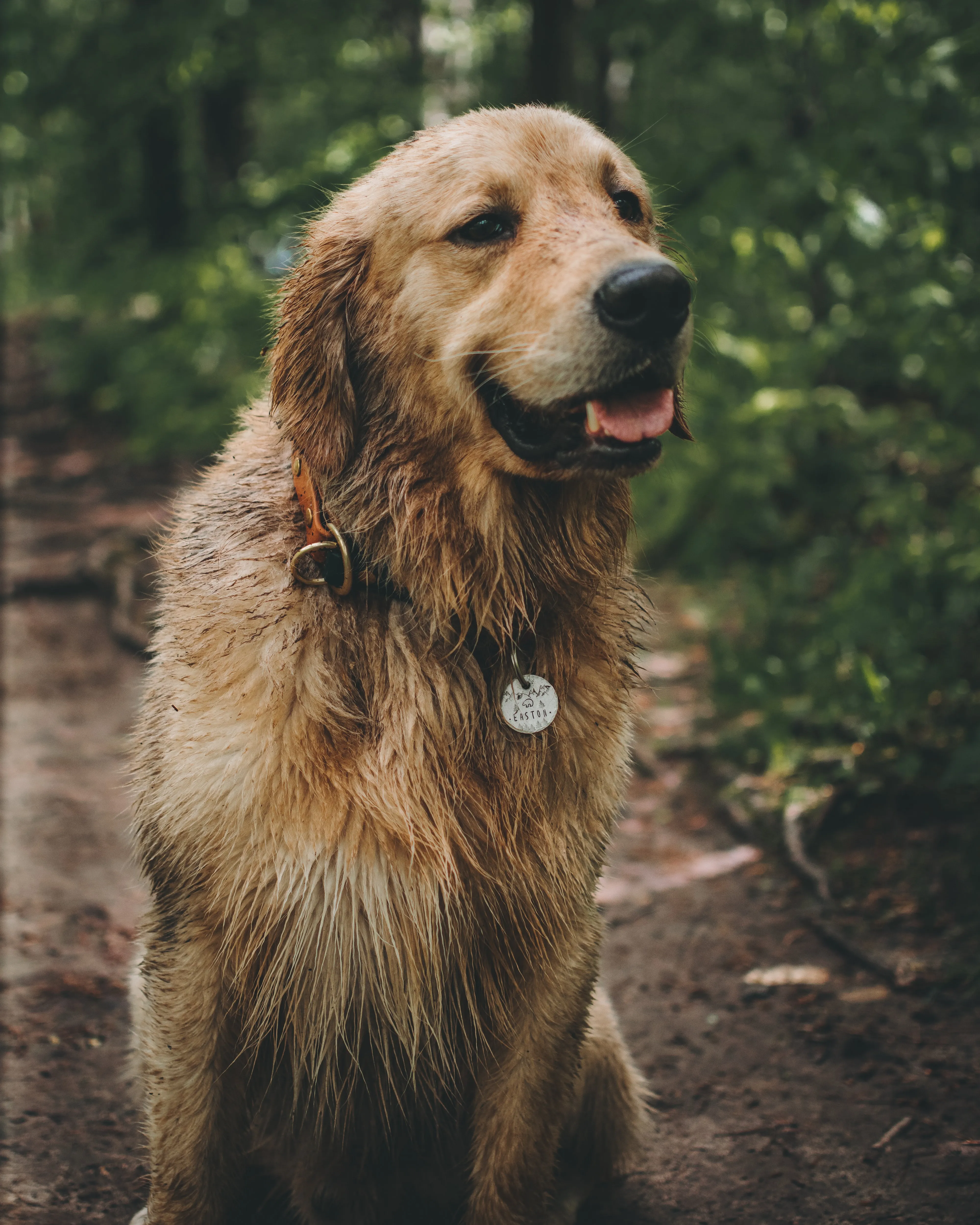 Kenai - Simple Style